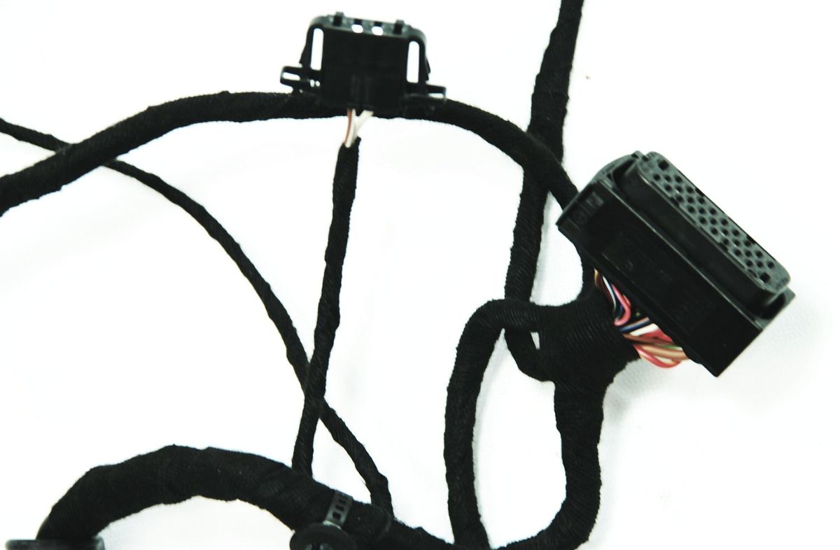 RH Front Door Wiring Harness Monsoon 98-05 VW Passat B5 - 3B0 971 121