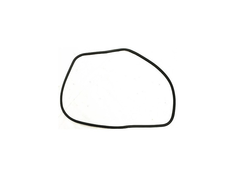 LH Front Rubber Door Weather Seal 02-08 Audi A4 S4 B6 B7 - 8E0 831 721