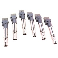 6x Ignition Coils 06-10 Passat B6 VR6 3.6 R32 Audi TT A3 Q7 3.2 - 022 905 715 B