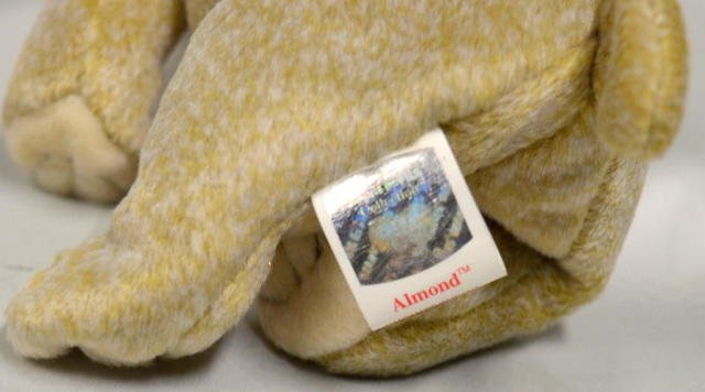 almond beanie baby errors