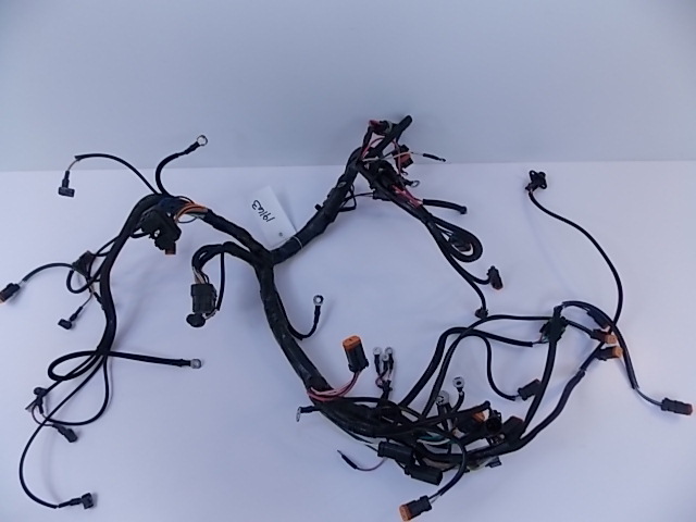 586309 0586309 Evinrude 1999 Motor Cable Wiring Harness 200 225 HP V6 OEM