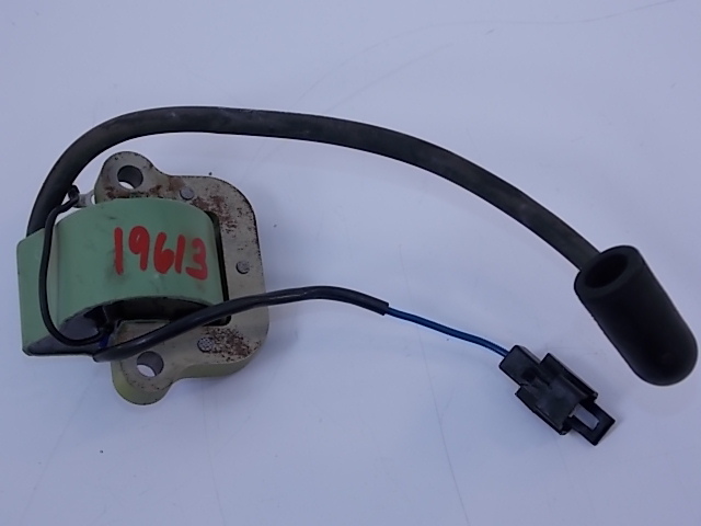 Johnson Evinrude Coil 1974-1976 9.9 15 HP 581407 502880