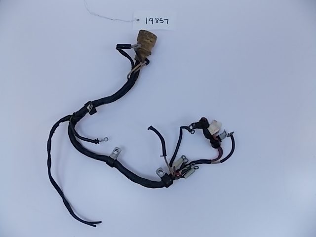 Johnson Evinrude Motor Cable Assy Wiring Harness 1972 65 HP 385067