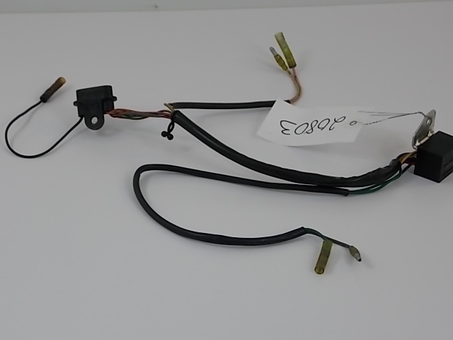 1984-1985 Yamaha Pilot Light Assembly 6H4-84301-00-00 40 50 HP