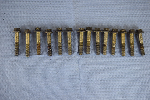 OMC Johnson Evinrude Head Bolts Set of 14 397737 1986-1990 60 65 70 HP