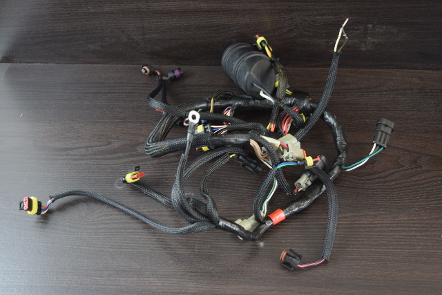 586603 Evinrude 2004-07 Wiring Harness Engine Cable 40 50 + HP 2 Cyl