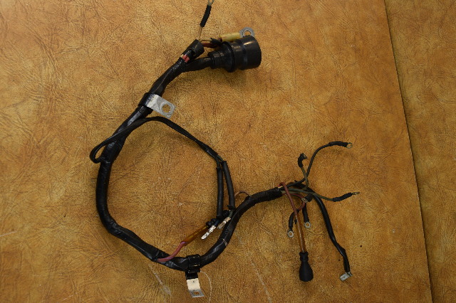 384050 0384050 Johnson Evinrude 1970-1971 Wiring Harness 60 HP 3 Cylinder OEM