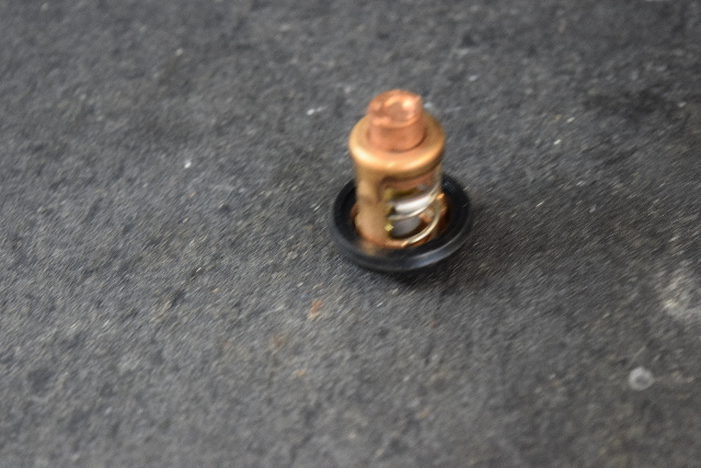 NEW OLD STOCK! Suzuki Thermostat 17670-95220 Unknown Years and HPs