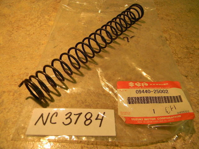 New Suzuki Spring