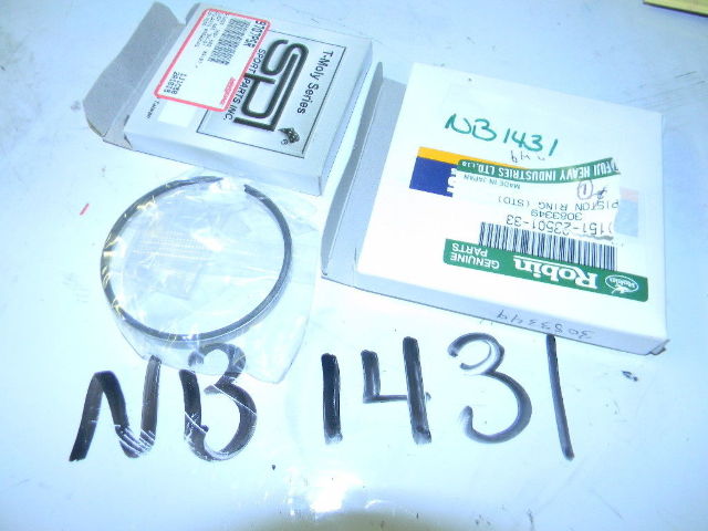 NEW Polaris Robin Piston Ring