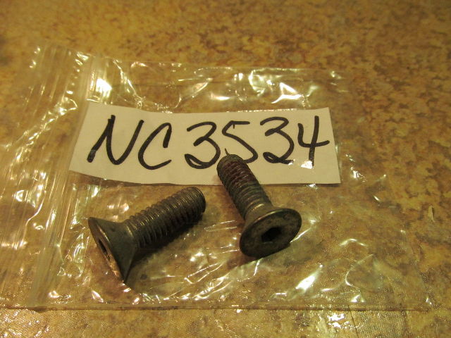 NEW NOS Johnson Evinrude Set of 2 Vintage Screws 309876