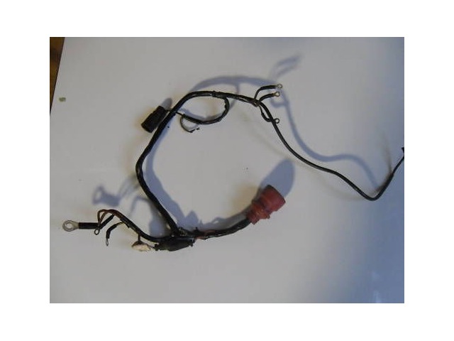 Johnson Evinrude Motor Cable harness 70 75 HP 1979-1983 389254