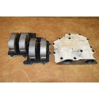 Johnson Evinrude Intake Manifold & Reed Assy 305431 1958-1959  40 50 HP Lark