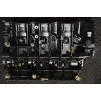 5007436 Evinrude ETEC E-TEC 2008 & UP Rebuildable Block 150 175 HP