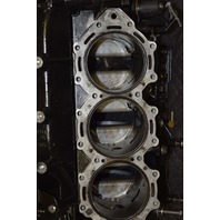 5007436 Evinrude ETEC E-TEC 2008 & UP Rebuildable Block 150 175 HP