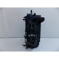 Force Powerhead Block 1984-1988 125 HP Excellent condition 818154A6