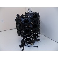 Evinrude Ficht Complete Powerhead V6 60 degree 1999-2000 200 225 250 HP 439765