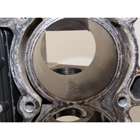 Mercury Rebuildable Powerhead  2003-2006 225 HP EFI 4 Stroke 887792T1