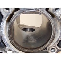 Mercury Rebuildable Powerhead  2003-2006 225 HP EFI 4 Stroke 887792T1