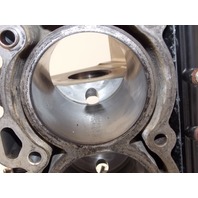 Mercury Rebuildable Powerhead  2003-2006 225 HP EFI 4 Stroke 887792T1