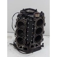 Mercury Rebuildable Powerhead  2003-2006 225 HP EFI 4 Stroke 887792T1