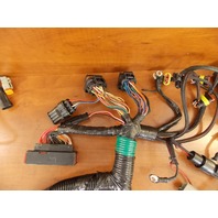 OEM! 2004-2008 Evinrude ETEC Engine Harness 586991 586769 200 225 250 300 HP
