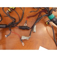 OEM! 2004-2008 Evinrude ETEC Engine Harness 586991 586769 200 225 250 300 HP