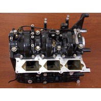 438066 Johnson Evinrude 1996-01 Rebuildable Powerhead 25 35 HP FOR PARTS/REPAIR