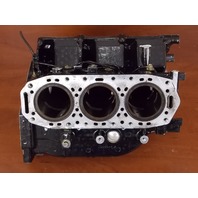 438066 Johnson Evinrude 1996-01 Rebuildable Powerhead 25 35 HP FOR PARTS/REPAIR