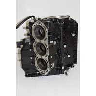 Evinrude Etec Rebuildable Powerhead 2004-2009 225 250 HP