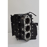 Evinrude Etec Rebuildable Powerhead 2004-2009 225 250 HP