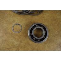 320499 390641 Johnson Evinrude Crankshaft Bearing Set 1985 & UP 120-300 HP