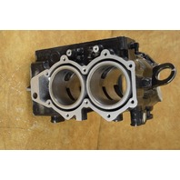 FRESHWATER! 1995-2005 Johnson Evinrude Complete Powerhead 437342 48 50 HP 2 cyl