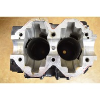 Mercosil Powerhead Replaces Mercury OEM 9533T40 1998-06 15 20 25 HP Rebuildable!