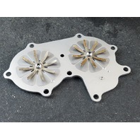 1976-2005 Johnson Evinrude Leaf Valve & Plate 320155 324318 20 25 28 30 35 HP