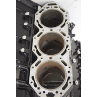 2004-2012 & Up Johnson Evinrude Rebuildable Powerhead 5005909 200 225 250 300