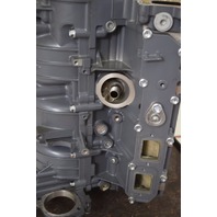 2011 & UP Suzuki Complete Powerhead 11301-98J30 DF300 LOW HOURS FRESHWATER V6