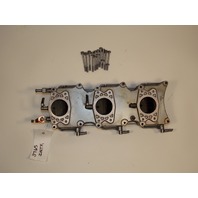 61A-13624-10-94 61A-13610-01-00 Yamaha 1990-1996 Reed Valves & Plate 225 250 HP