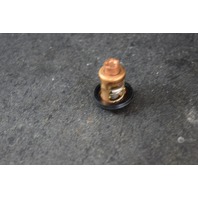 NEW OLD STOCK! Suzuki Thermostat 17670-95220 Unknown Years and HPs