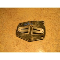 390231 325368 Johnson Evinrude 1980-1990 Leaf Plate 4.5 6 8 HP