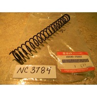 New Suzuki Spring