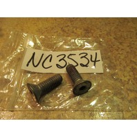 NEW NOS Johnson Evinrude Set of 2 Vintage Screws 309876