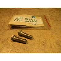 NEW Johnson Evinrude Starter Screw 302860