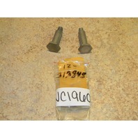 NOS OMC Johnson Evinrude Outboard Bolt / Screw Pair 313849