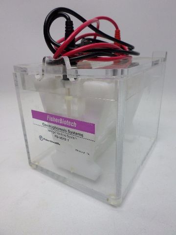 Electrophoresis System Minigel Vertical System Fisher Scientific Extraction