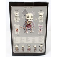 Official Jason Freeny 7" Transparent Anatomy Visible Qee Bear Toy2R *Blem*