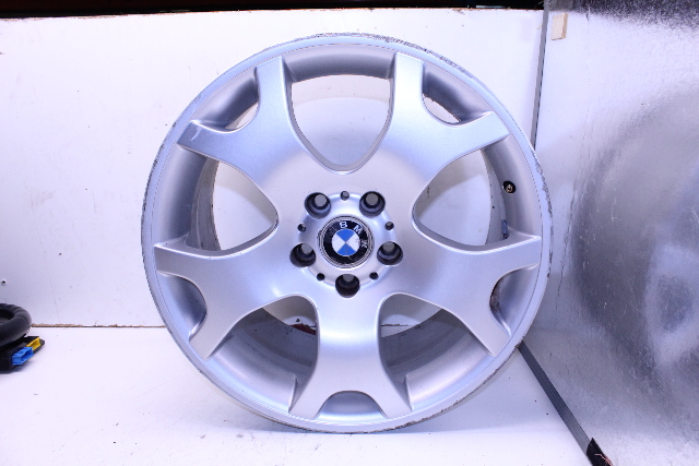 2001-2006 BMW X5 E53 Rear Wheel 19 X 10 Style 63 Rim OEM