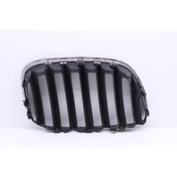 2006 BMW X5 4.4i 4-Door 4.4 Gas Driver Left Kidney Grille OEM