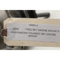 2004 2005 2006 2007 Volkswagen Touareg 4.2L Engine Motor Mount Pair Set OEM