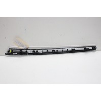 2008-2012 Audi A5 Right Door Wood Moulding 8T0867410B OEM